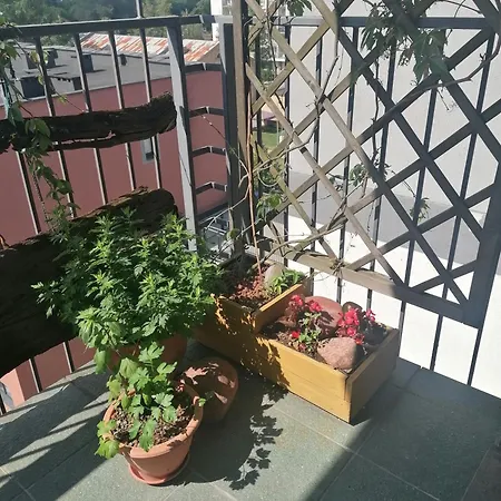 Jauki Erdve